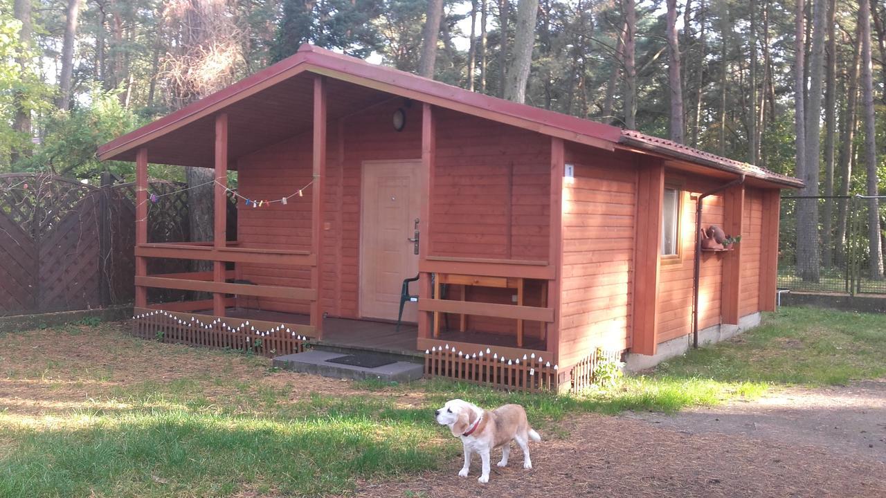 Ow Gabi Międzywodzie Exterior foto